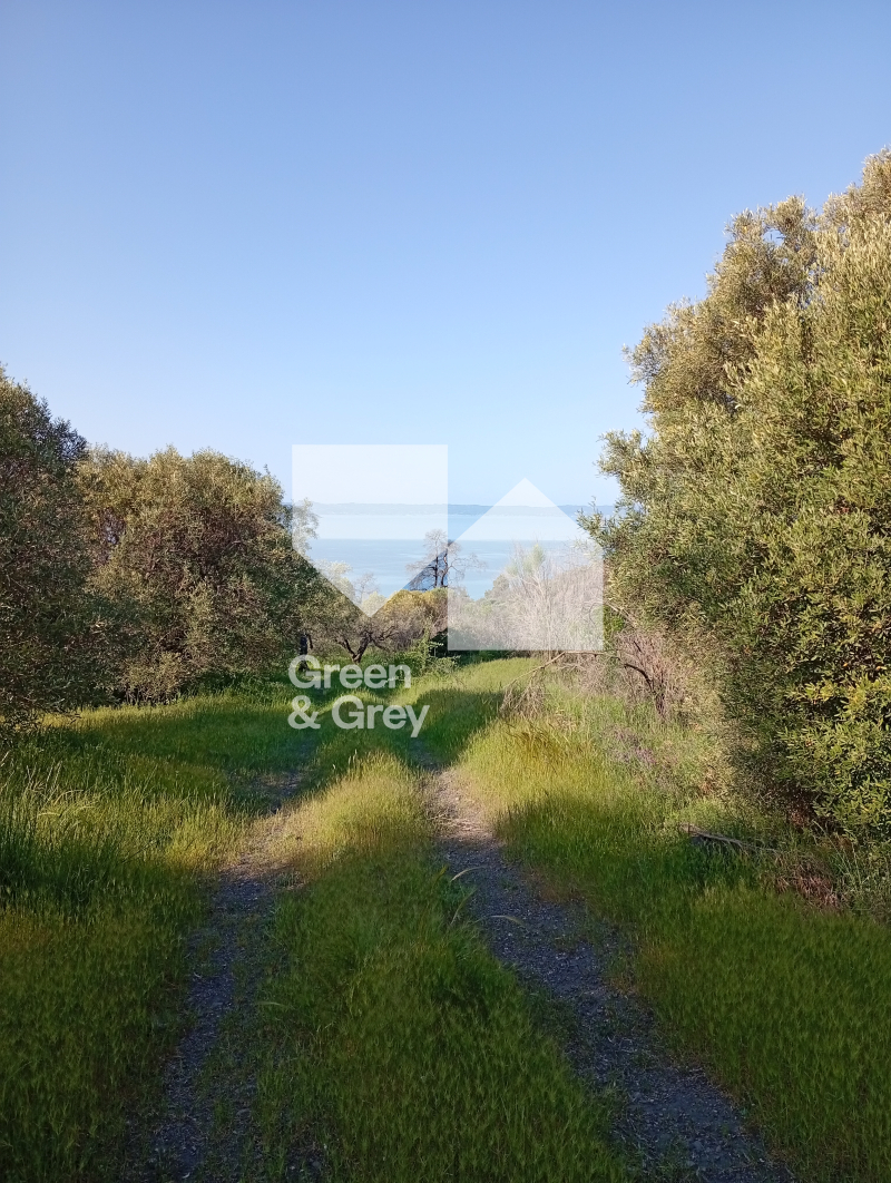 property-img